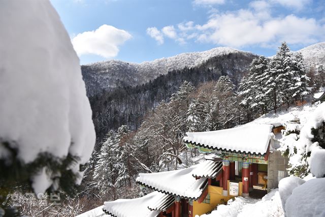 눈 덮인 중대 사자암.