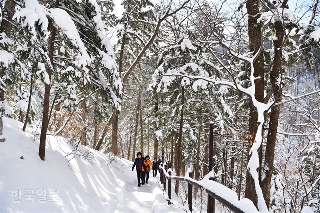 오를수록 눈의 두께도 점점 두꺼워진다.