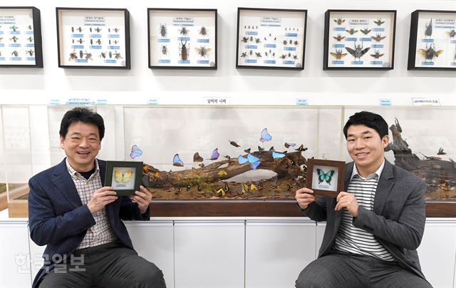 만천곤충박물관을 운영하는 김태완(왼쪽) 서울곤충산업연구회 회장이 서울에서 곤충 가게를 낸 권관우씨가 지난 15일 서울 영등포구청 별관 내 곤충체험학습장에서 나비 표본을 들고 밝게 웃고 있다. 두 사람은 서울곤충산업연구회에서 활동하고 있기도 하다. “아이들이 장수풍뎅이를 키우다 분양도 하고 그러더라고요.” 권씨가 사진 촬영 전 김씨와 나눈 말이다. 서재훈 기자
