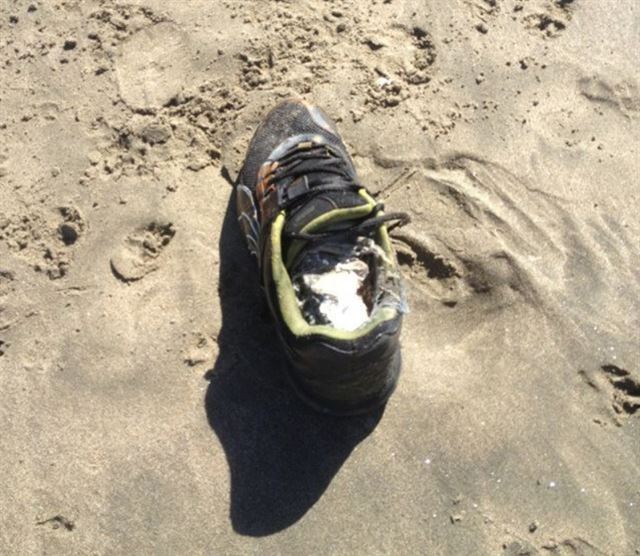 2007~2019년 캐나다 브리티시컬럼비아주와 미국 워싱턴주 사이에 위치한 세일리시해에서 발생한 연쇄 발목 절단 사건의 증거품 운동화.