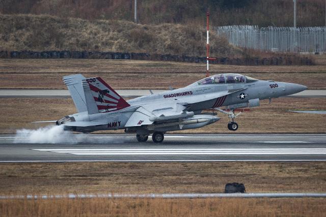 미 태평양함대 제5항공모함타격단 141전자공격비행대대 소속 EA-18G 전자전기가 지난 2017년 11월 꼬리날개에 욱일 문양 도장을 한 채 일본 이와쿠니 비행장에 착륙하고 있다. 미 해병대 제공