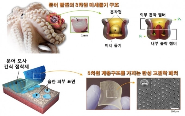 문어 빨판이 들러붙는 원리(위). 방 교수팀이 모사해 개발한 패치(아래). [출처 과기정통부 제공]