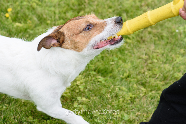 [사진=게티이미지]