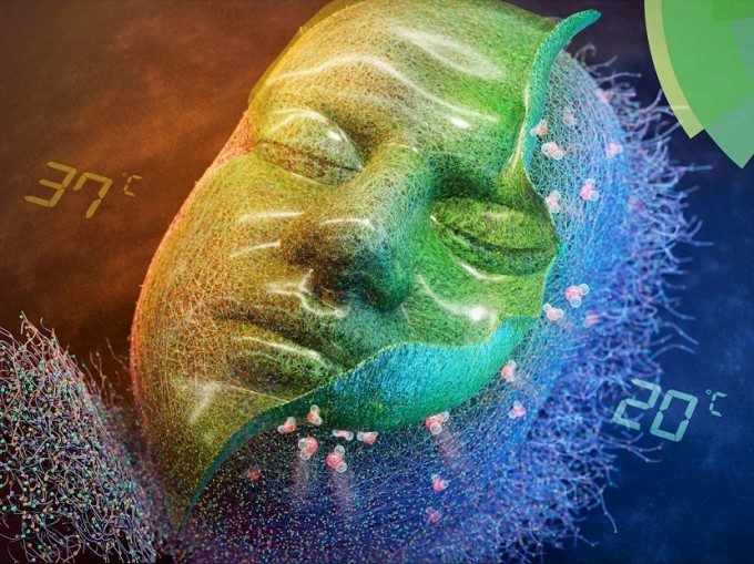 온도를 조절해 원하는 크기로 모든 세포를 배양할 수 있는 플랫폼이 개발됐다. 국제학술지인 ‘바이오머터리얼스 사이언스’(Biomaterials Science)지의 최근 표지 논문. [출처 포스텍]