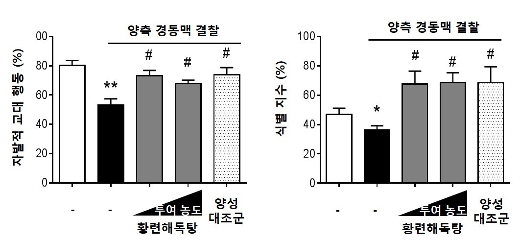 황련해독탕의 혈관성 치매 동물에서 인지능력 개선 효과.[한국한의학연구원 제공]