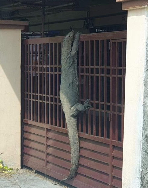 [페이스북 캡쳐]