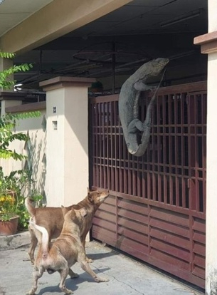 [페이스북 캡쳐]