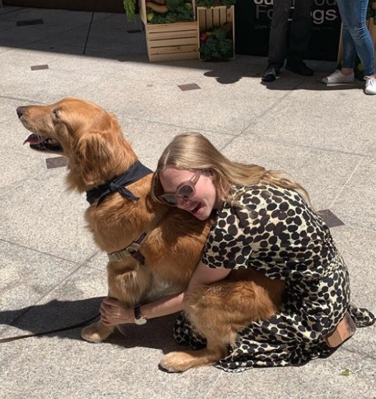 아만다 사이프리드 인스타