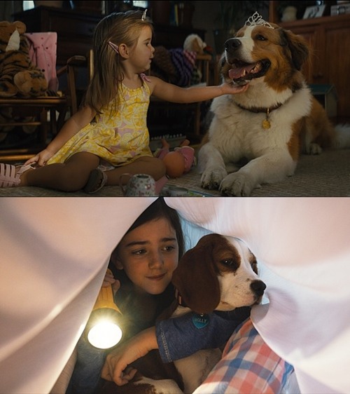 영화 '안녕 베일리' 스틸