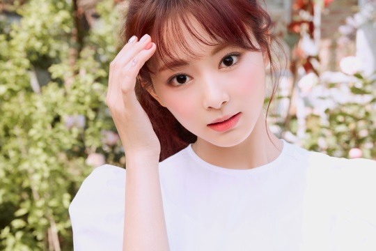 사진제공=JYP엔터테인먼트