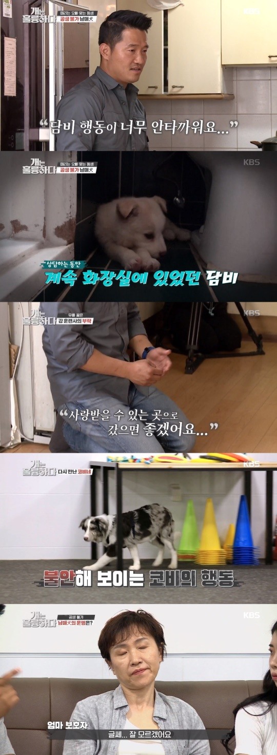 '개는 훌륭하다' 방송캡쳐