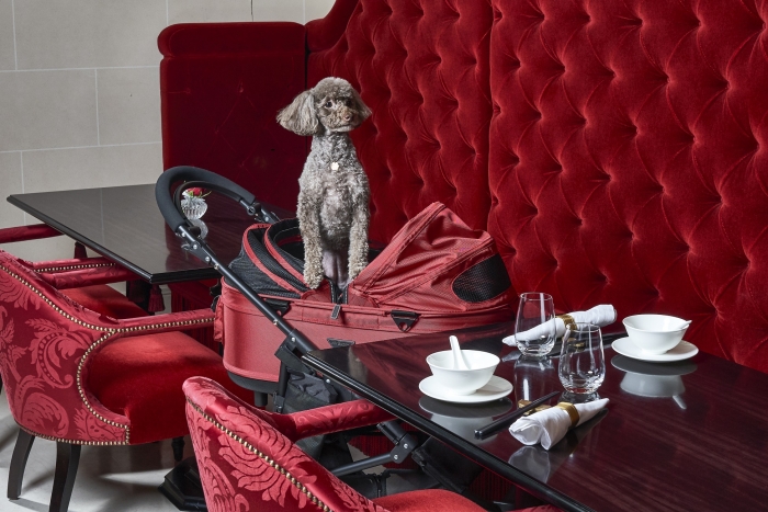 사진=신세계조선호텔 제공