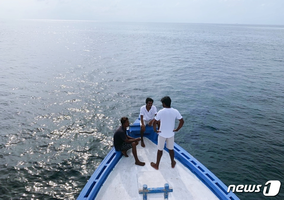 돌고래 워칭 투어© News1