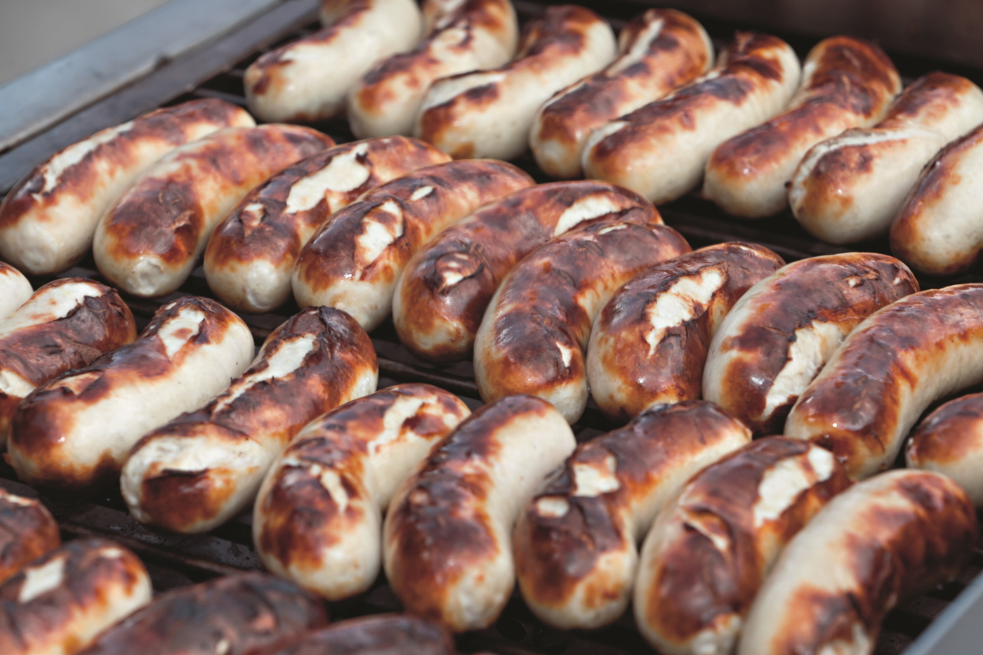 송아지 고기로 만든 생갈렌 소시지