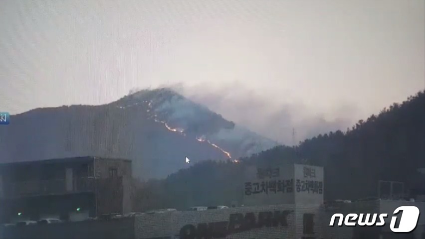 지난 2일 오후 3시18분쯤 부산 해운대 운봉산에서 시작된 화재가 3일 오전까지 능선을 따라 계속해서 번지고 있다.(부산지방경찰청 제공)© 뉴스1