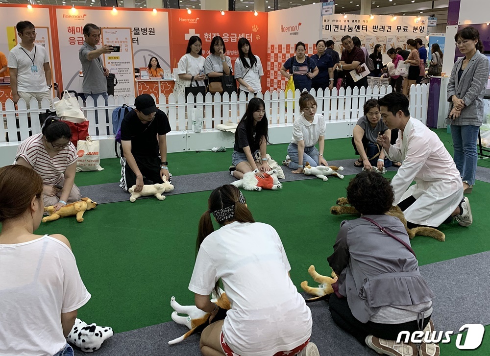 9일 열린 코엑스 펫서울에서 해마루동물병원 수의사가 반려동물 응급처치 방법을 알려주고 있다. © 뉴스1
