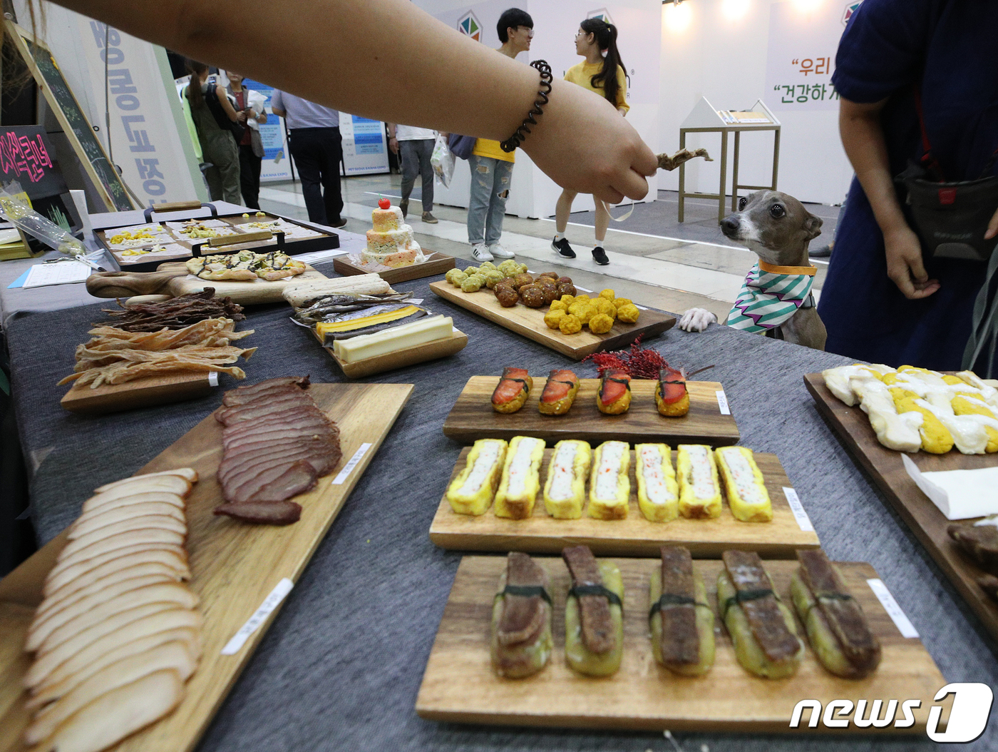 9일 서울 강남구 코엑스에서 열린 반려동물 박람회 펫서울 2019에서 관람객들이 반려동물 음식을 살펴보고 있다. 2019.8.9/뉴스1 © News1 신웅수 기자