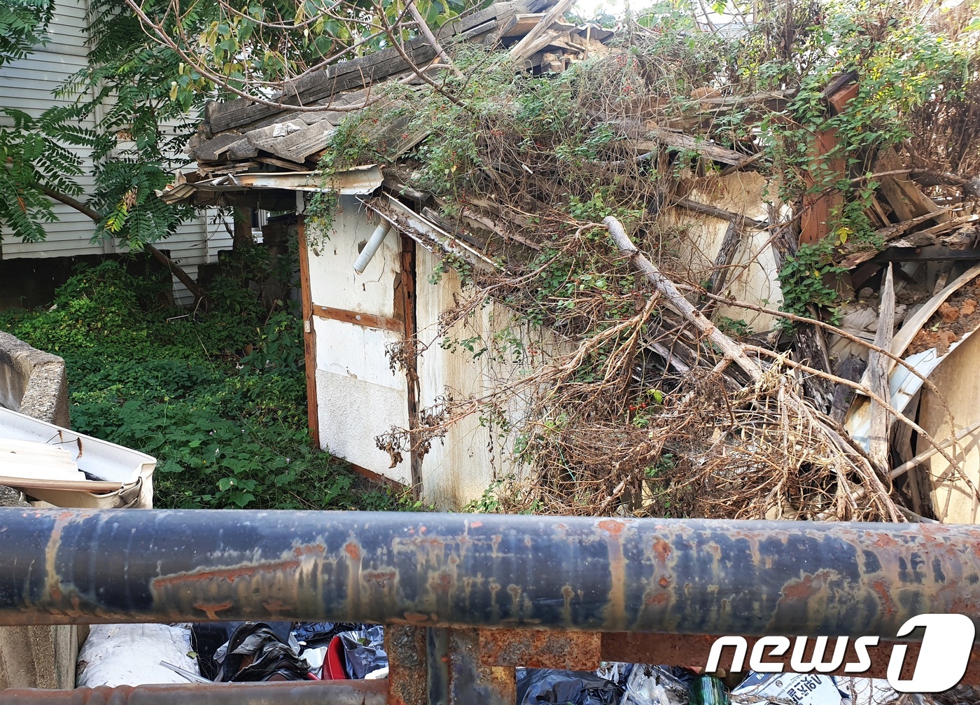 1991년 3월7일 오후 8시쯤 청주시 상당구 남주동의 한 셋방에서 주부 김모씨(당시 29세·여)가 숨진 채 발견됐다.  범행 장소로 추정되는 셋방은  현재 폐가로  방치돼 있다. © 뉴스1 박태성기자