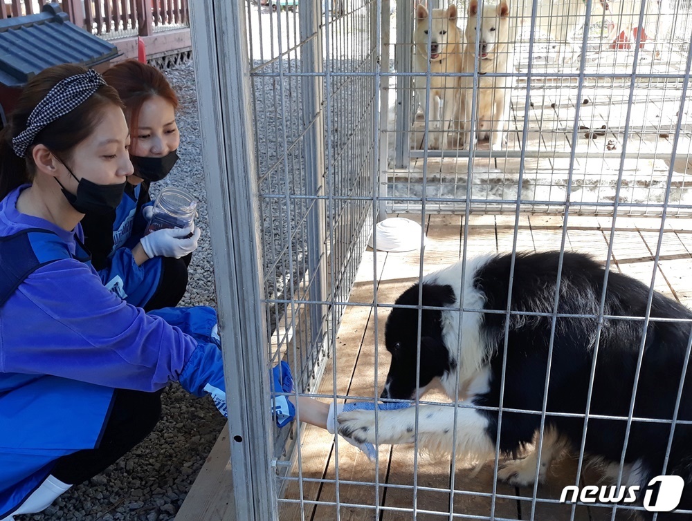 배우 공승연(왼쪽)이 지난 19일 용인시에 위치한 유기동물보호소에서 유기견과 교감하고 있다. © 뉴스1 최서윤 기자