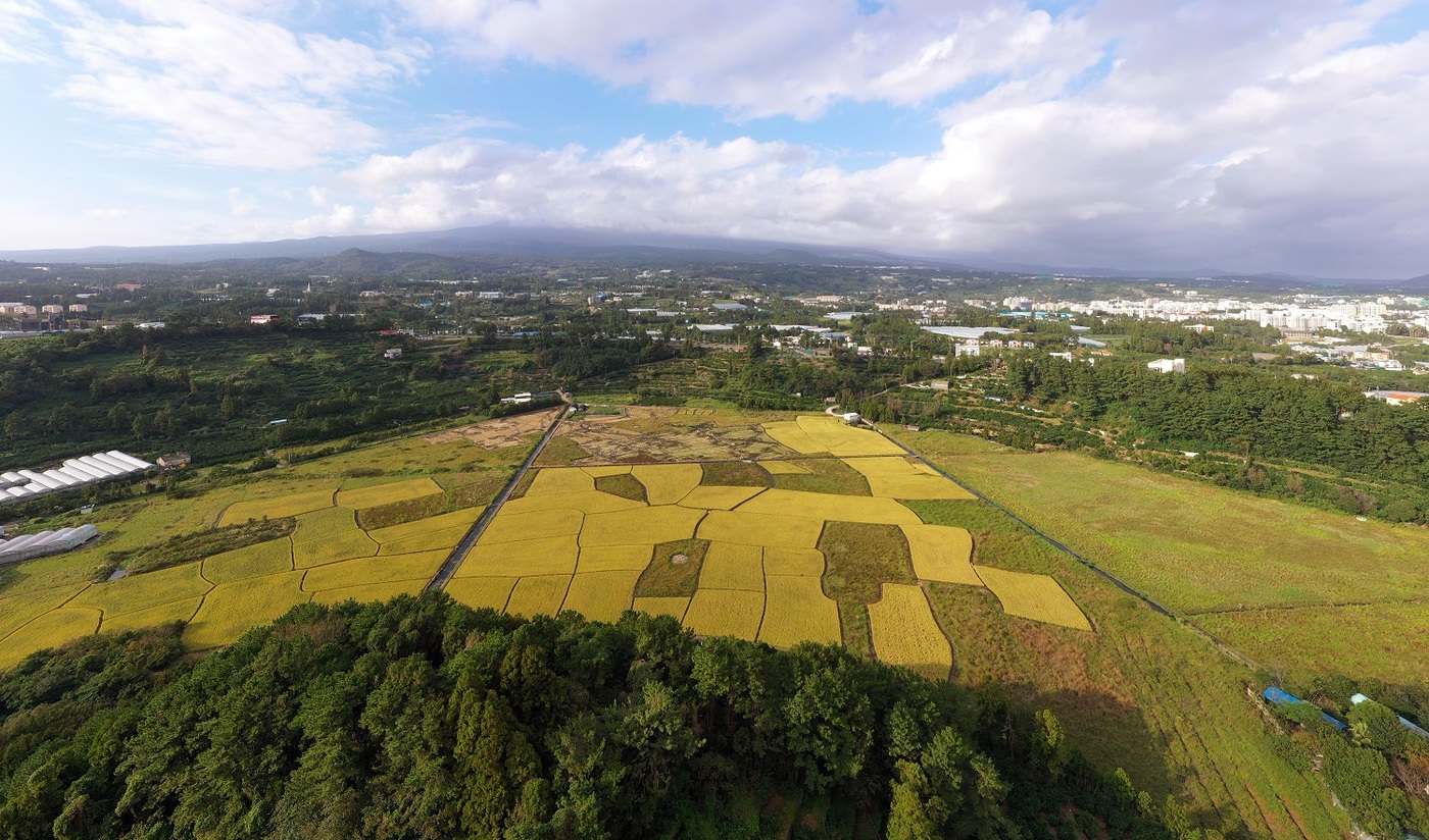 은상작 '하논과 한라산'