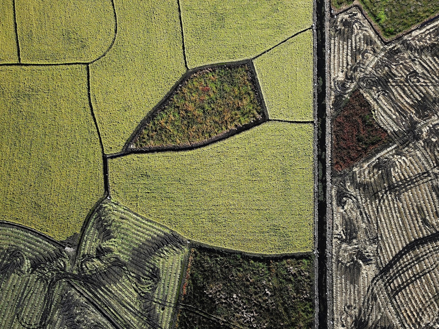 금상작 '하논 추상'