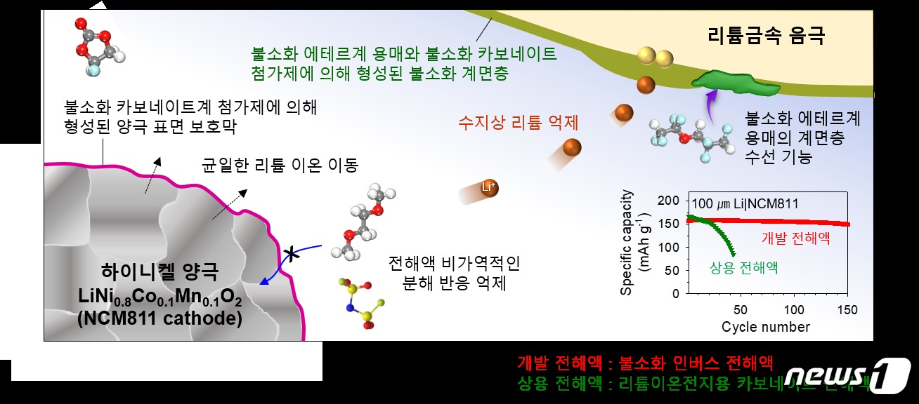 전해액의  리튬 금속 전지 수명 향상 기능 관련 연구그림(유니스트제공)© 뉴스1