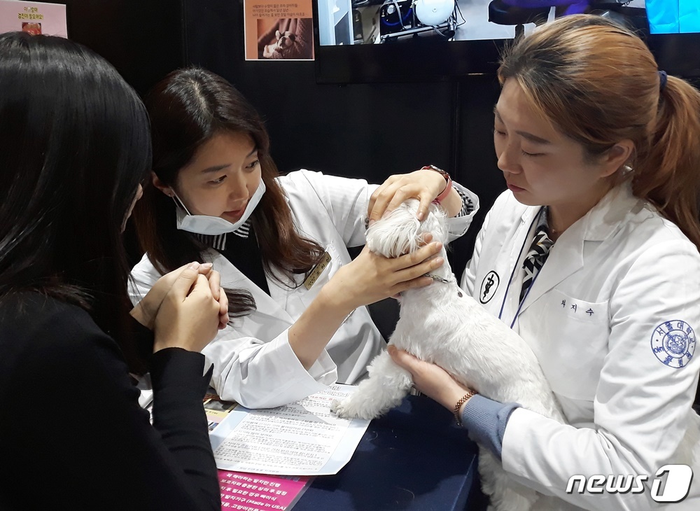 20일 서울펫쇼 행사장 내 청담리덴동물치과병원 부스에서 수의사들이 반려견의 치아 상태를 살펴보고 있다. © 뉴스1 최서윤 기자