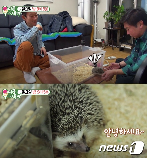 SBS '미운 우리 새끼' 영상 갈무리 © 뉴스1