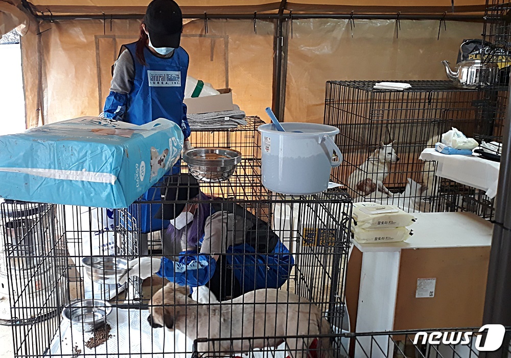 트와이스 멤버들은 17일 경기도 포천시 유기동물보호소에서 봉사활동을 진행했다. © 뉴스1 최서윤 기자