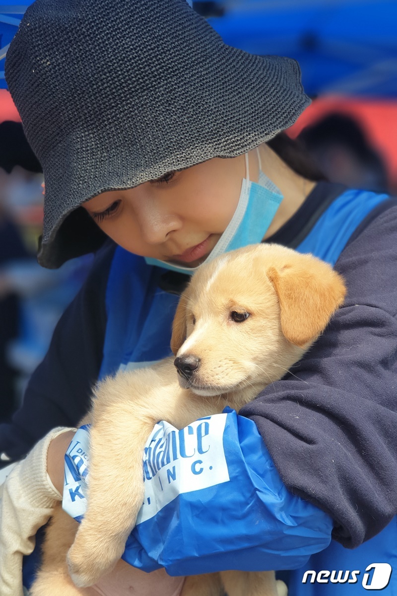 모델 김효진은 17일 경기도 포천시 유기동물보호소에서 봉사활동을 진행했다. © 뉴스1