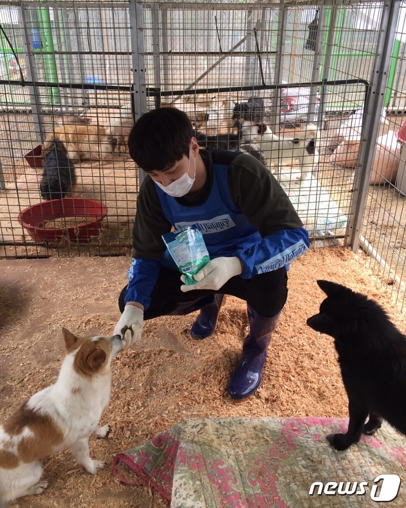 배우 이태환은 17일 경기도 포천시 유기동물보호소에서 봉사활동을 진행했다. © 뉴스1