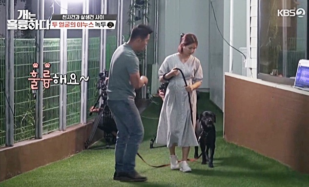 사진 개는 훌륭하다 © 뉴스1