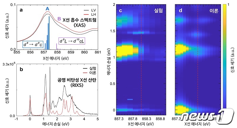 NiPS3에 대한 X선 흡수 스펙트럼과 공명 비탄성 X선 산란 실험, 다체계산.© 뉴스1