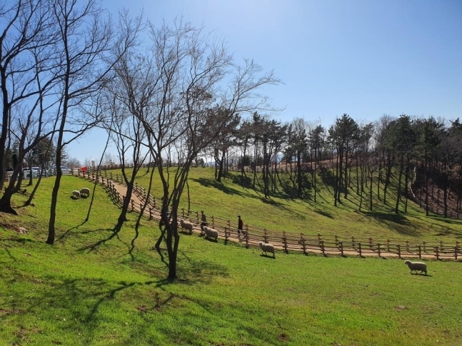 거제 숲소리공원