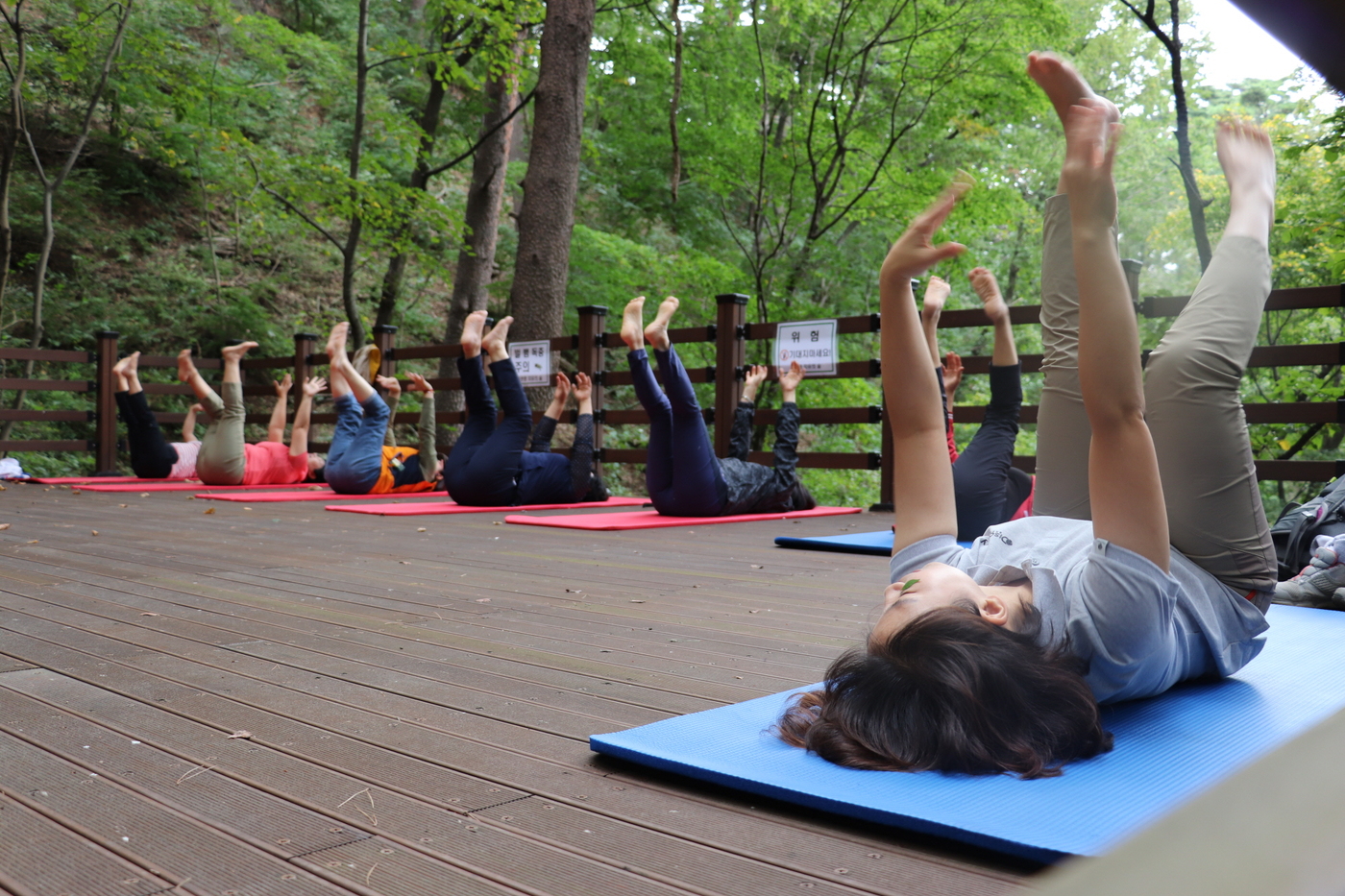 쏠쏘올테라피 프로그램에 참여해 건강체조를 즐기는 체험객들의 모습. 국립대관령치유의숲 제공