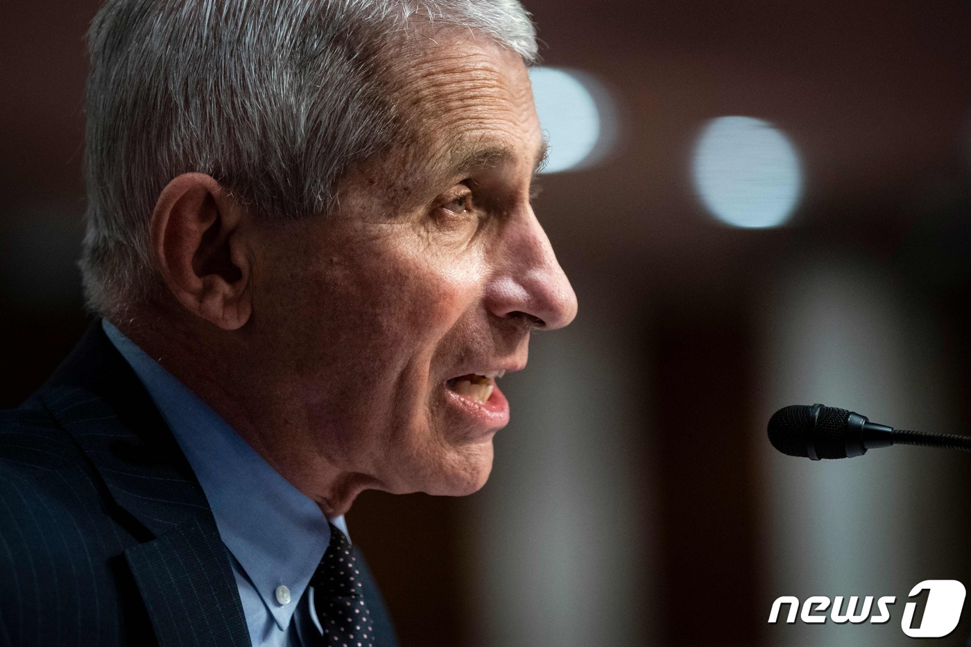 앤서니 파우치 미국 국립보건원 국립알레르기·감염병연구소(NIAID) 소장. © AFP=뉴스1