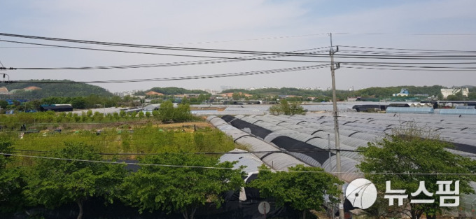 고양시 덕양구 화전동에 논밭과 비닐하우스가 펼쳐져 있다. [사진=김지유 기자]
