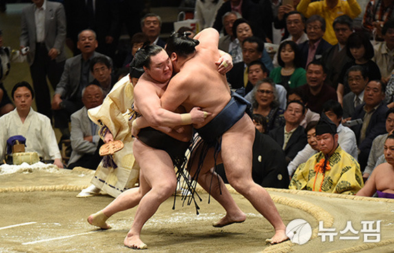 스모 경기의 한 장면. [사진=로이터 뉴스핌]