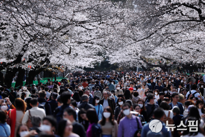 [도쿄 로이터=뉴스핌] 오영상 전문기자 = 일본 도쿄 우에노공원에 벚꽃이 만개한 가운데 시민들이 코로나19에도 불구하고 마스크를 쓰고 벚꽃놀이에 나섰다. 2020.03.22 goldendog@newspim.com
