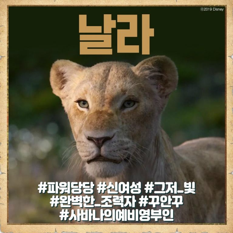 디즈니코리아 이벤트 페이지에 올라왔다가 삭제된 '라이온 킹' 날라 소개 사진 (사진=디즈니코리아 이벤트 페이지 캡처)