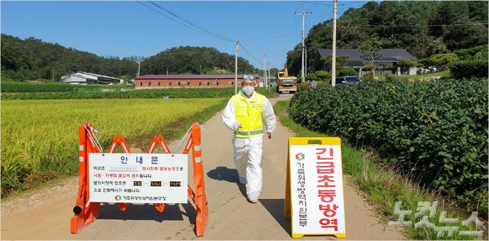 아프리카돼지열병(ASF)이 발생한 연천군 전동리의 양돈농가에서 방역 요원이 출입을 통제하고 있다. (사진=고태현 기자)
