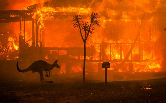 (사진=트위터 캡처)