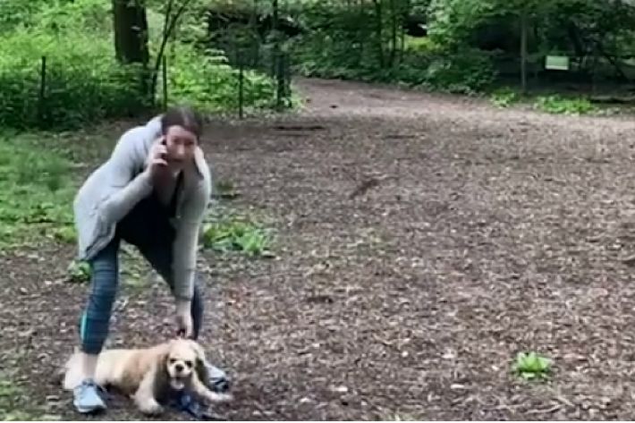 (사진='CNN' 홈페이지 캡처)