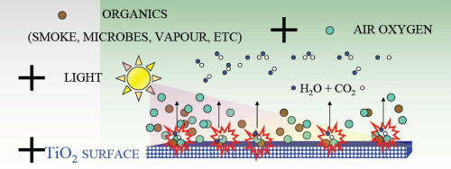 출처=어드밴스드 머티리얼스(Advanced Materials)