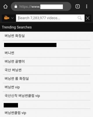 온라인커뮤니티 캡처