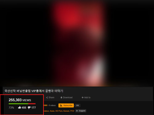 해외 음란물 사이트 캡처