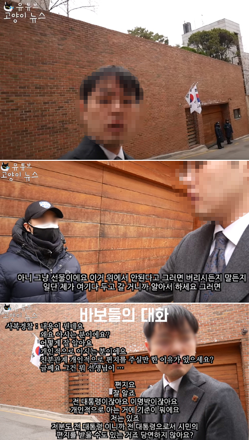 유튜브 채널 ‘고양이 뉴스’ 캡처.