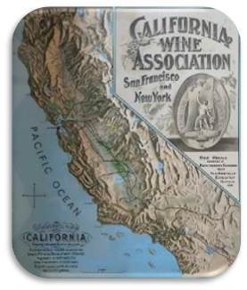 1902년 캘리포니아 와인 협회가 만든 소책자의 빈야드