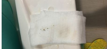 최근 경북 포항시 남구 일원에서 적갈색 수돗물이 나와 주민이 불안해하고 있다. 한 주민은 1분간 수돗물을 틀고서 물티슈를 갖다 댄 결과 확연하게 얼룩이 졌다고 밝혔다. 포항=연합뉴스