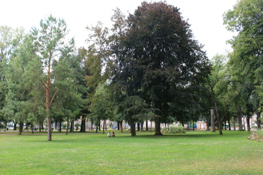 알자스 콜마르 셩드 막쓰공원